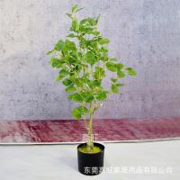 uploads/erp/collection/images/Home Garden/dgjiawang/XU0613064/img_b/XU0613064_img_b_3